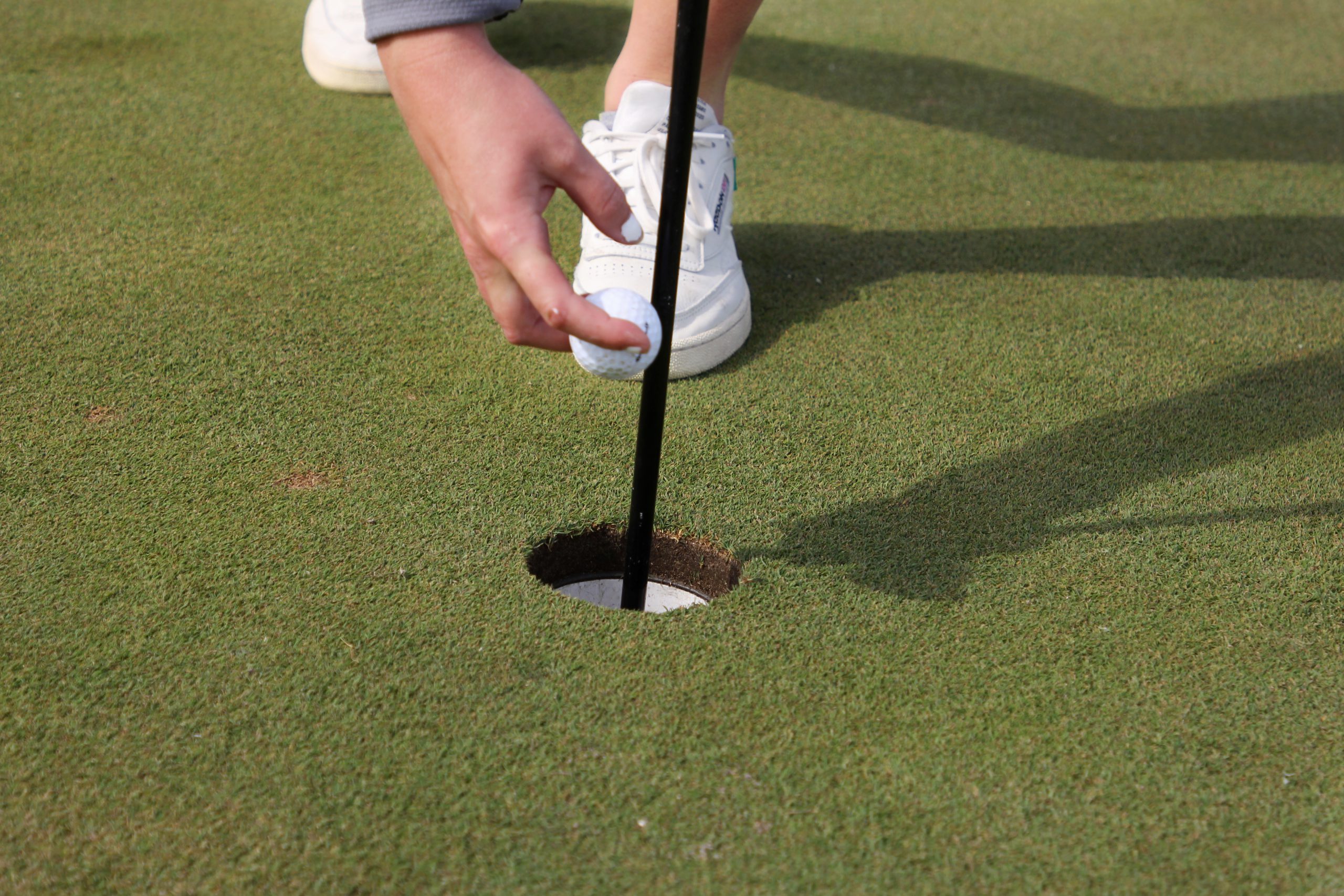 Money Golf - Ball In Cup